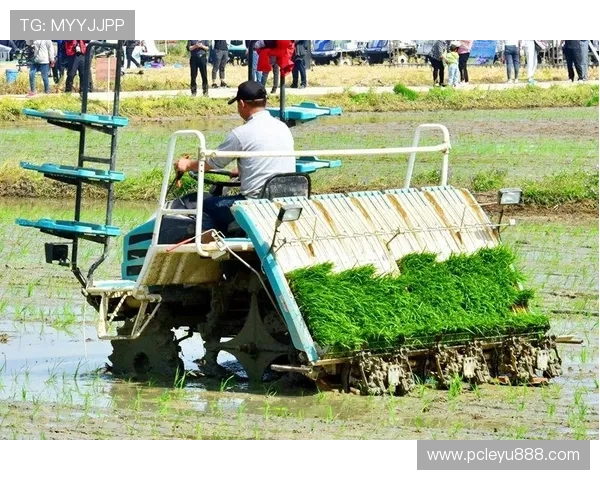 乐投线路技术升级带来更稳定的投注体验与更高的中奖率 乐投线路技术升级带来更稳定的投注体验与更高的中奖率
