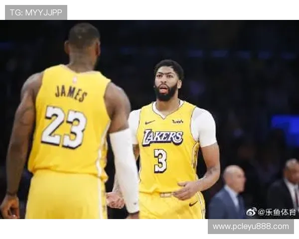 乐鱼体育平台官网的支付方式与资金安全保障措施