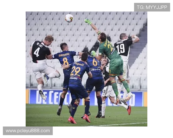 乐鱼意甲全球赞助合作的亮点和创新点剖析推动足球文化普及的同时实现企业品牌价值最大化