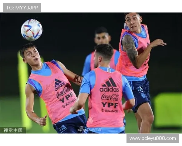 乐鱼官网登录入口手机版下载用户评价与反馈，提升整体使用体验