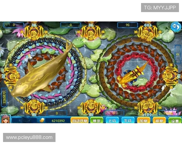 乐鱼登陆异常影响游戏体验的原因分析及恢复正常登录的实用技巧