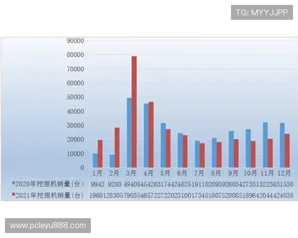 瑞丰乐投letou：行业专家对其未来发展趋势的深度分析